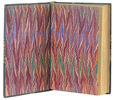 Sainte Lydwine de Schiedam. 