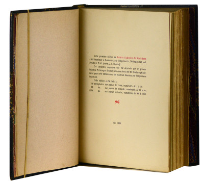 Sainte Lydwine de Schiedam. 