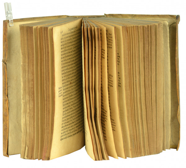 Histoire orientale des grans progres de l'Eglise Cathol. Apost. & Rom. en la reduction des anciens Chrestiens, dit de S. Thomas, de plusieurs autres Schismatiques & Heretiques a l'union de la vraye Eglise. Conversion encor des Mahometains, Mores et Payens. Par les bons devoirs du R. me & Illustr. me S.r Don Alexis de Meneses, de l'Ordre des Eremites de S. Augustin, Archevesque de Goa, & Primat de tout l'Orient. Composee en langue Portugaise par le R.P.F. Antoine Govea, & puis mise en Espagnol par venerable P. F. Francois Munoz, & tournee en Francois par F. Jean Baptiste de Glen. Relié à la suite : La messe des anciens Chrestiens, dicts de S. Thomas, en l'évesché d'Angamal és Indes Orientales : repurgée des erreurs et blasphemes du Nestoriasme. Traduite du Syriaque ou Surien en langue Latine. Y premise une Remonstrance Catholique aux peuples du Pays-Bas, des fruits et utilité de la precedente histoire, & de la messe subsequente : par Jean-Baptiste de Glen. 