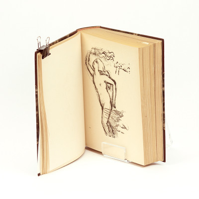 Lettres intimes à l'Amazone. Avec cinquante-deux lithographies originales et deux bois dont un en frontispice par André Rouveyre. 