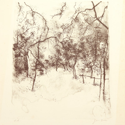 Des bouleaux en hiver. Lithographie. 