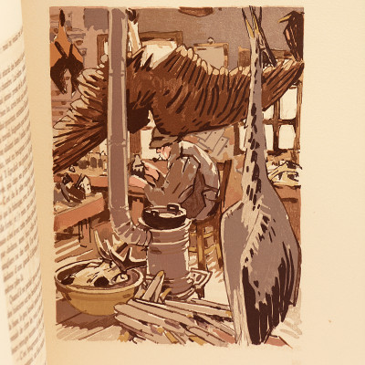 Raboliot. Illustrations de Mathurin Méheut gravées sur bois par Georges Beltrand. 