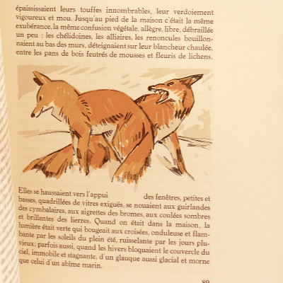 Raboliot. Illustrations de Mathurin Méheut gravées sur bois par Georges Beltrand. 