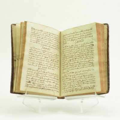 Tractatus de morbis infantium. Manuscrit. 