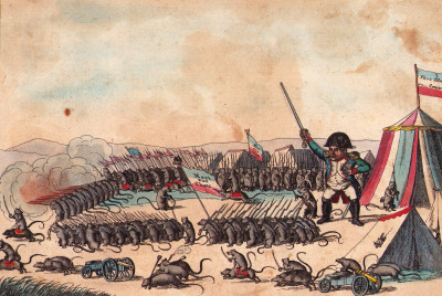Spirituelle caricature de Napoléon, représenté au seuil d'une tente, commandant l'attaque à une armée de rats portant des étendards où on lit : Mort aux chats. 