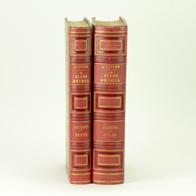 Le règne animal distribué d'après son organisation, pour servir de base à l'histoire naturelle des animaux, et d'introduction à l'anatomie comparée. Les POISSONS. Volume de texte + atlas. 