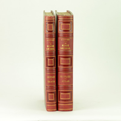 Le règne animal distribué d'après son organisation, pour servir de base à l'histoire naturelle des animaux, et d'introduction à l'anatomie comparée. Les CRUSTACÉS. Volume de texte + atlas. 
