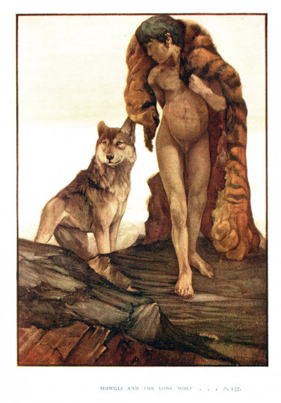 The Jungle Book. With illustrations in colour by Maurice and Edward Detmold. 