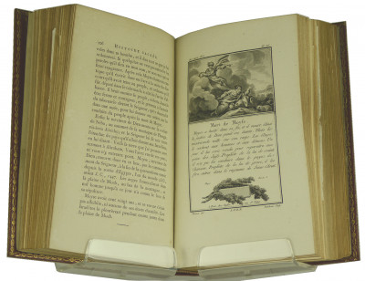 Abrégé de l'Histoire Universelle, en figures, ou recueil d'estampes représentant les sujets les plus frappants de l'histoire, tant sacrée que profane, ancienne et moderne, avec les explications historiques qui s'y rapportent, et les Portraits en Médaille des Héros qui ont joué le plus grand rôle dans l'Histoire, ornés de leurs attributs caractéristiques, dessinées par Monsieur Marillier et gravées par le Sieur Duflos le jeune. 