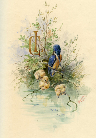 Nos oiseaux. Cent-dix compositions de H. Giacomelli gravées sur bois par J. Huyot. 