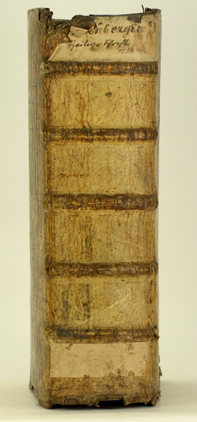 Bibell, Das ist, Alle bücher Alts vnd News Testaments nach alter, in Christlicher Kyrchen gehabter Translation, mit Auslegung etlicher dunckeler ort, vnd besserung vieler verruckter wort vnd sprüche Bibell, Das ist, Alle bücher Alts und News Testaments. 