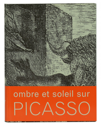 Picasso, ombre et soleil. 