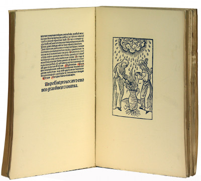 Des sorcières et des devineresses par Ulric Molitor (sic). Reproduit en fac-similé d'après l'édition latine de cologne 1489 et traduit pour la première fois en français. 