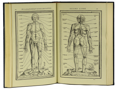 La dissection des parties du corps humain divisée en trois livres, faictz par Charles Estienne docteur en Médecine : avec les figures & declaratio des incisions, composées par Estienne de la Rivière Chirurgien. 