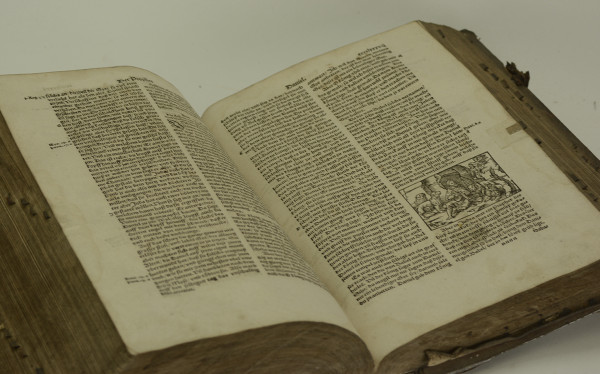 Bibell, Das ist, Alle bücher Alts vnd News Testaments nach alter, in Christlicher Kyrchen gehabter Translation, mit Auslegung etlicher dunckeler ort, vnd besserung vieler verruckter wort vnd sprüche Bibell, Das ist, Alle bücher Alts und News Testaments. 