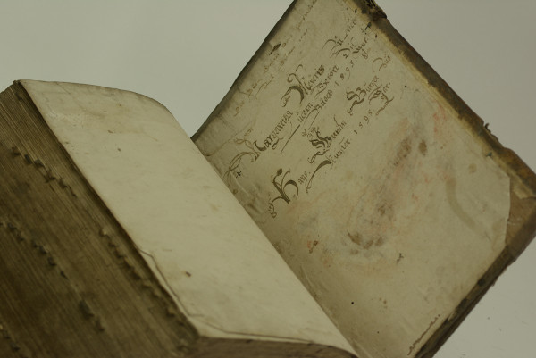 Bibell, Das ist, Alle bücher Alts vnd News Testaments nach alter, in Christlicher Kyrchen gehabter Translation, mit Auslegung etlicher dunckeler ort, vnd besserung vieler verruckter wort vnd sprüche Bibell, Das ist, Alle bücher Alts und News Testaments. 