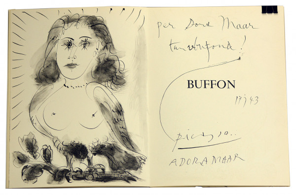 40 dessins de Picasso en marge du Buffon. 
