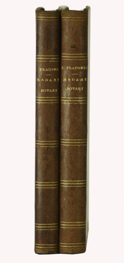 Madame Bovary. Mœurs de Province. 