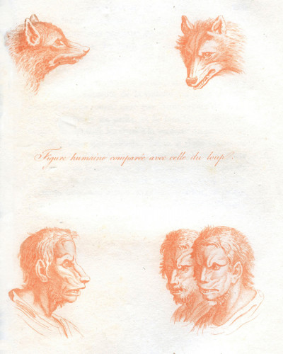 L'art de connaitre les hommes par la physionomie. Nouvelle édition corrigée et disposée dans un ordre plus méthodique, augmentée d'une exposition des recherches ou des opinions de La Chambre, de Porta, de Camper, de Gall, sur la physionomie ; d'une histoire anatomique et physiologique de la face ; précédée d'une notice historique sur l'auteur, par Moreau (de la Sarthe). Ornée de 600 gravures en taille-douce, dont 82 tirées en couleurs et exécutées sous l'inspection de Vincent, peintre. 