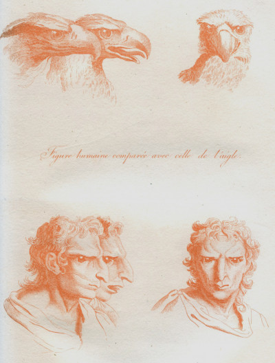 L'art de connaitre les hommes par la physionomie. Nouvelle édition corrigée et disposée dans un ordre plus méthodique, augmentée d'une exposition des recherches ou des opinions de La Chambre, de Porta, de Camper, de Gall, sur la physionomie ; d'une histoire anatomique et physiologique de la face ; précédée d'une notice historique sur l'auteur, par Moreau (de la Sarthe). Ornée de 600 gravures en taille-douce, dont 82 tirées en couleurs et exécutées sous l'inspection de Vincent, peintre. 