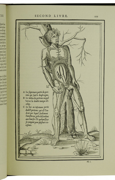 La dissection des parties du corps humain divisée en trois livres, faictz par Charles Estienne docteur en Médecine : avec les figures & declaratio des incisions, composées par Estienne de la Rivière Chirurgien. 