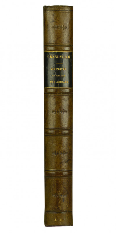 Vie privée et publique des Animaux. Vignettes par Grandville. Publiée sous la direction de P. J. Stahl. Édition complète, revue et augmentée. 