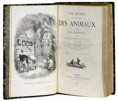 Vie privée et publique des Animaux. Vignettes par Grandville. Publiée sous la direction de P. J. Stahl. Édition complète, revue et augmentée. 