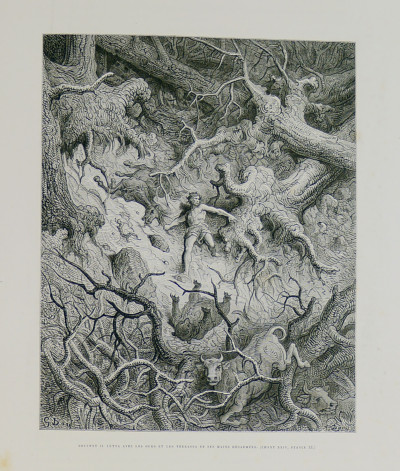 Roland Furieux. Poème héroïque traduit par A. J. Du Pays et illustré par Gustave Doré. 