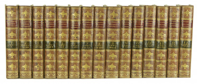 Dictionnaire raisonné universel d'histoire naturelle, contenant l'histoire des animaux, des végétaux et des minéraux, et celle des corps célestes, des météores, et des autres principes de la nature. Avec l'histoire des trois règnes, et le détail des usages de leurs productions dans la Médecine, dans l'économie domestique et champêtre, et dans les arts et métiers…. 