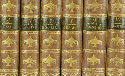 Dictionnaire raisonné universel d'histoire naturelle, contenant l'histoire des animaux, des végétaux et des minéraux, et celle des corps célestes, des météores, et des autres principes de la nature. Avec l'histoire des trois règnes, et le détail des usages de leurs productions dans la Médecine, dans l'économie domestique et champêtre, et dans les arts et métiers…. 