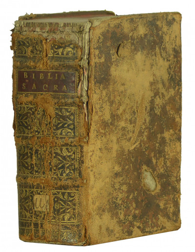 Biblia cum summariorum apparatu pleno quadruplicique repertorio insignita. 