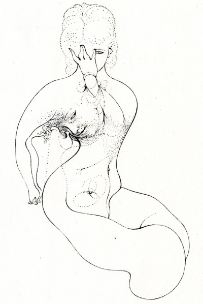 Petite Anatomie de l'inconscient physique ou anatomie de l'image. 