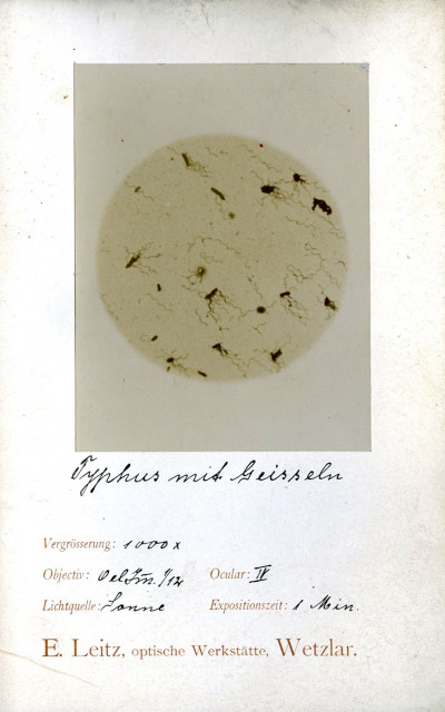 Der mikrophotographische Apparat der optischen Werkstätte von E. Leitz, Wetzlar. Die Beschreibung und Handhabung dieses Apparates mit einer photographischen Technik und vier Mikrophotogrammen. 