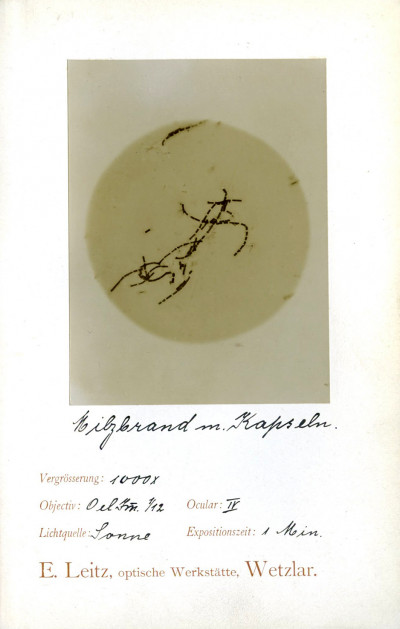Der mikrophotographische Apparat der optischen Werkstätte von E. Leitz, Wetzlar. Die Beschreibung und Handhabung dieses Apparates mit einer photographischen Technik und vier Mikrophotogrammen. 