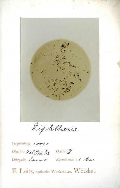 Der mikrophotographische Apparat der optischen Werkstätte von E. Leitz, Wetzlar. Die Beschreibung und Handhabung dieses Apparates mit einer photographischen Technik und vier Mikrophotogrammen. 