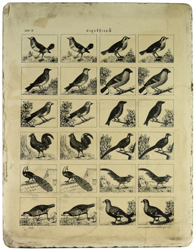 Pierre lithographique. 