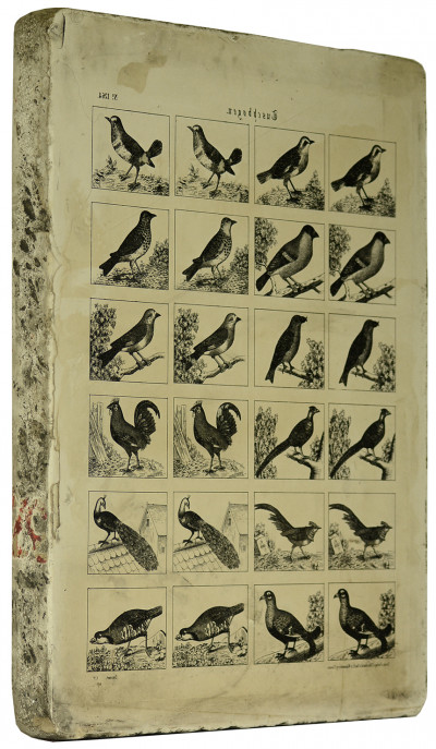 Pierre lithographique. 