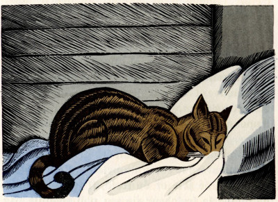 Clairière. Bois de Falké. 