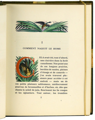 Clairière. Bois de Falké. 