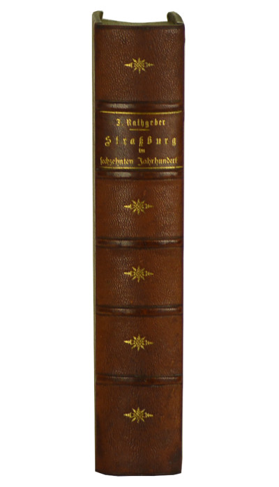Strassburg im sechszehnten Jahrhundert. 1500-1598, Reformationsgeschichte der Stadt Strassburg dem evangelischen Volke erzählt von Julius Rathgeber. Bevorwortet von Karl Rudolf Hagenbach. 