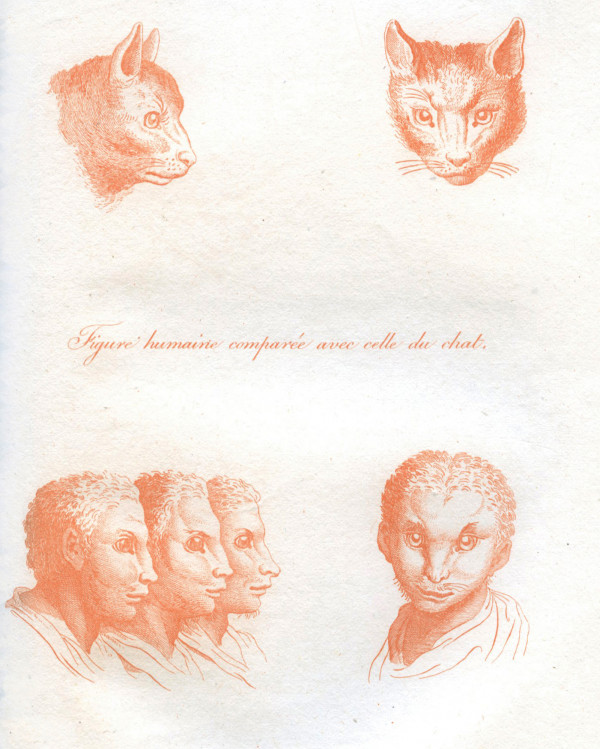 L'art de connaitre les hommes par la physionomie. Nouvelle édition corrigée et disposée dans un ordre plus méthodique, augmentée d'une exposition des recherches ou des opinions de La Chambre, de Porta, de Camper, de Gall, sur la physionomie ; d'une histoire anatomique et physiologique de la face ; précédée d'une notice historique sur l'auteur, par Moreau (de la Sarthe). Ornée de 600 gravures en taille-douce, dont 82 tirées en couleurs et exécutées sous l'inspection de Vincent, peintre. 
