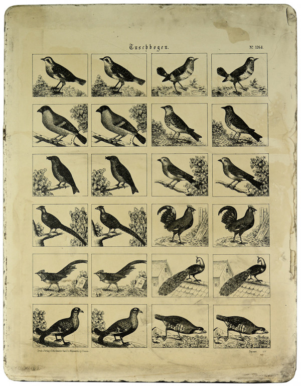 Pierre lithographique. 