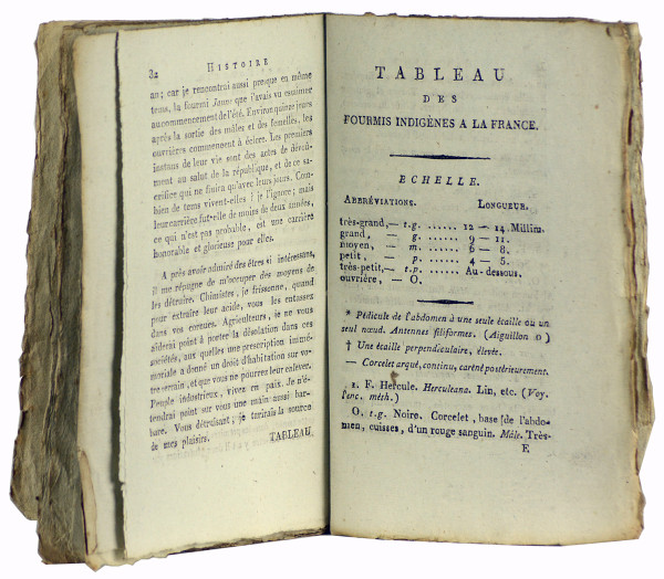 Essai sur l'histoire des fourmis de la France. 