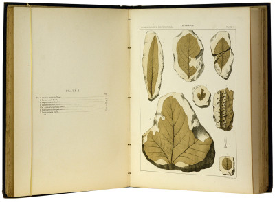 Sainte Richarde. Son abbaye d'Andlau, son église et sa crypte. 