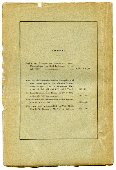 Mitteilungen der Geologischen Landesanstalt von Elsass-Lothringen. Band VI, Heft III (Schlußheft). Mit 6 Tafeln und 1 Tabelle. 