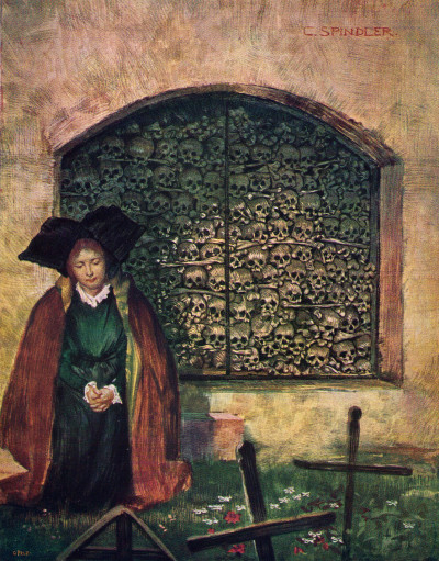 Revue Alsacienne Illustrée. COLLECTION COMPLÈTE. 