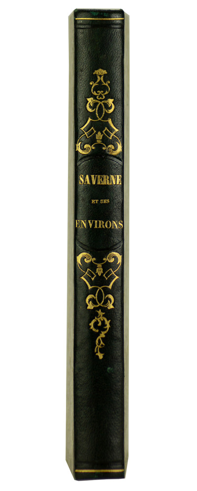 Saverne et ses environs. Illustrés par Eugène Laville, avec dessins d'architecture par M. Mæstlé. 