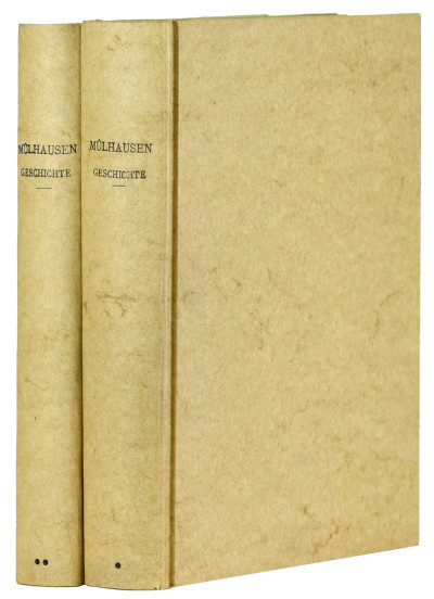 Der Stadt Mülhausen geschichte bis zum Jahr 1816. 