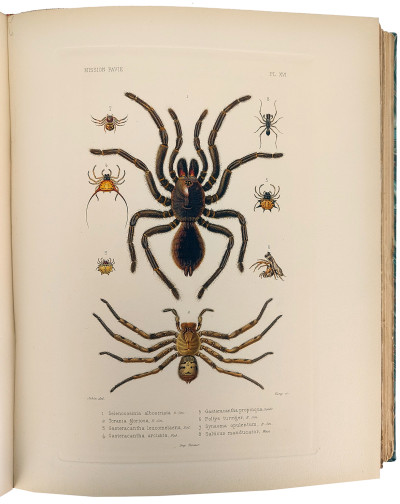 Mission Pavie Indo-Chine. 1879-1895. Études diverses. III. Recherches sur l'histoire naturelle de l'Indo-Chine naturelle. Avec une carte, 13 planches en couleurs et 28 planches ou illustrations en noir. 