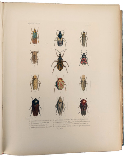 Mission Pavie Indo-Chine. 1879-1895. Études diverses. III. Recherches sur l'histoire naturelle de l'Indo-Chine naturelle. Avec une carte, 13 planches en couleurs et 28 planches ou illustrations en noir. 